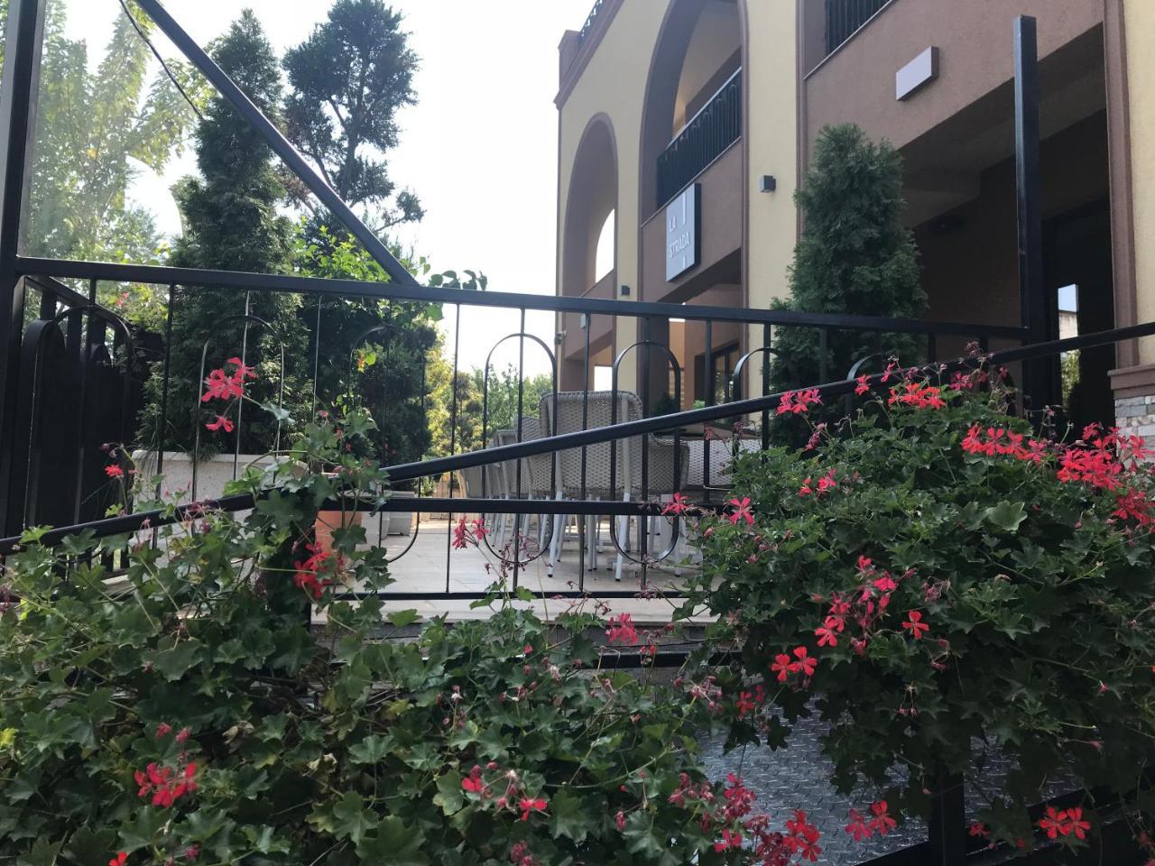 Hotel Edma Alexandria Zewnętrze zdjęcie